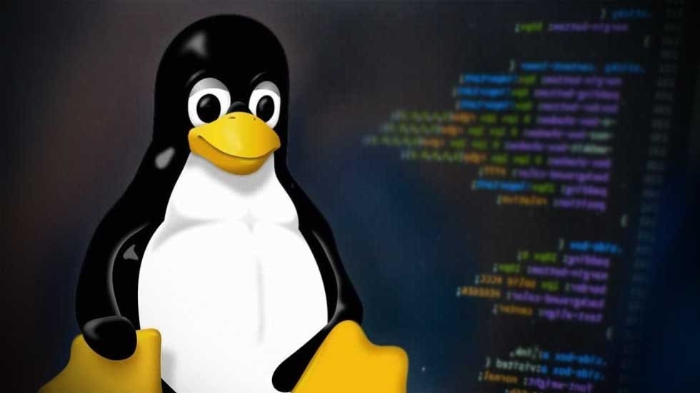 Read more about the article Best Linux Desktops for Beginners: Simplify Your Start